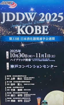 JDDW2025参加